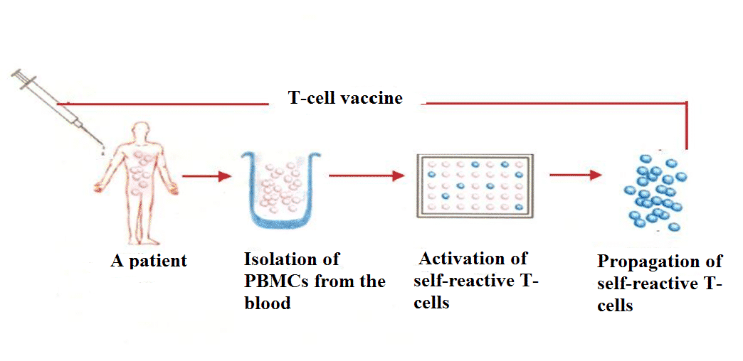 Preparation of polyclonal T-cell vaccine.